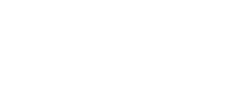 Circus brothers
