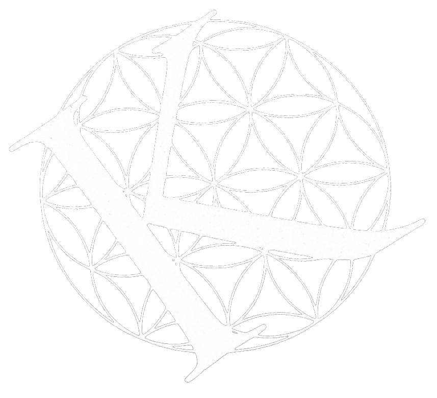 Karnivool